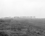 882092 Gezicht op de weilanden aan de westzijde van de wijk Lunetten te Utrecht, waar het Park De Koppel zal worden ...